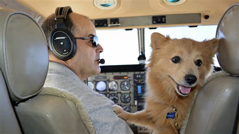 Pilots and paws - Pilots N Paws is a 501c3 non-profit organization. This site is intended to be a meeting place for those who rescue, shelter or foster animals, and volunteer pilots and plane owners willing to assist with the transportation of animals.